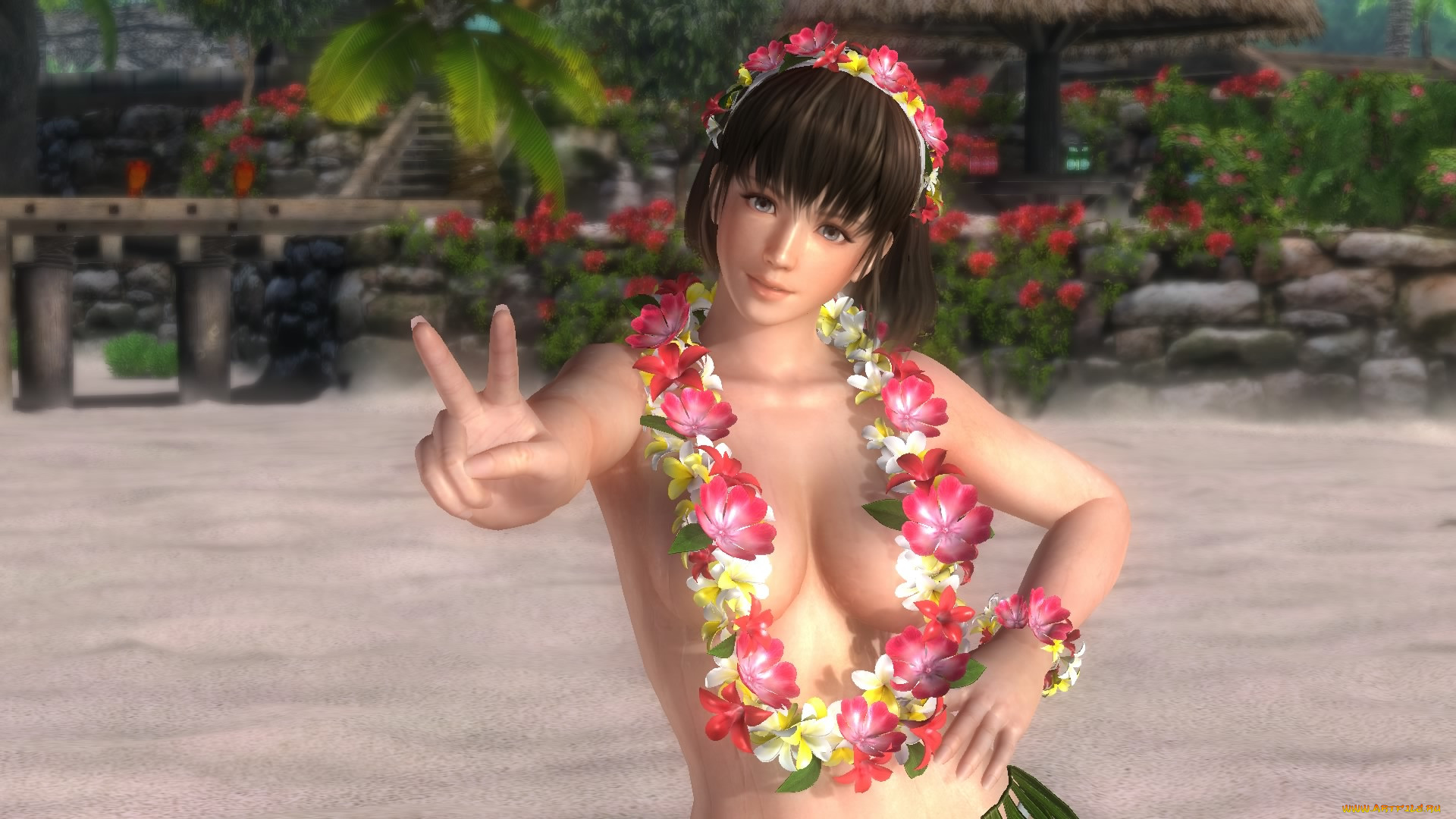  , dead or alive 5, , , , 